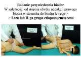 Congresses / Posters / Plakaty [LECTURES Pl & Eng]