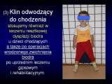 DDH/Cong.luxation of hip/LUBLIN method ot therapy/LECTURE