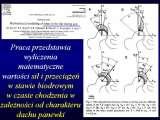 Biodra bolesne/Imperfect hips/Ureife Huften/LECTURE