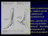 Wody geotermalne w ortopedii. Geothermal water in orthopaedic therapy. The picture taken from the book of - Prof. Gunter Wellmitz - 