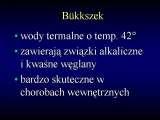 Wody geotermalne w ortopedii. Geothermal water in orthopaedic therapy.