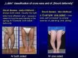 New fundamental knowledge in Paediatric Orthopaedics LECTURE / 28.02.2009