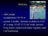 Wody geotermalne w ortopedii. Geothermal water in orthopaedic therapy.